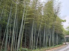 -黄公望隐居地