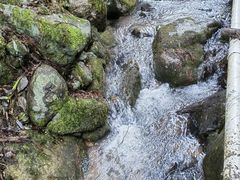 -MOJ coffee(瓯海泽雅水碓坑店)