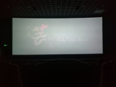 -金逸影城(影视中心IMAX店)