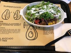 -油梨树 AVOCADO TREE(亮马桥店)