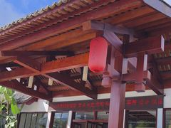 -腾冲洞山温泉村