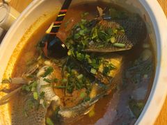 -风鑫铃罗非鱼(道沟店)