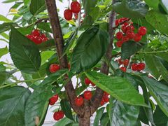 -好利来(红牌楼店)