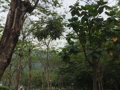 -火炉山森林公园