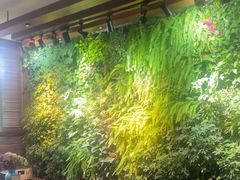 -泽云梵莲花足浴 按摩 SPA(滨湖店)