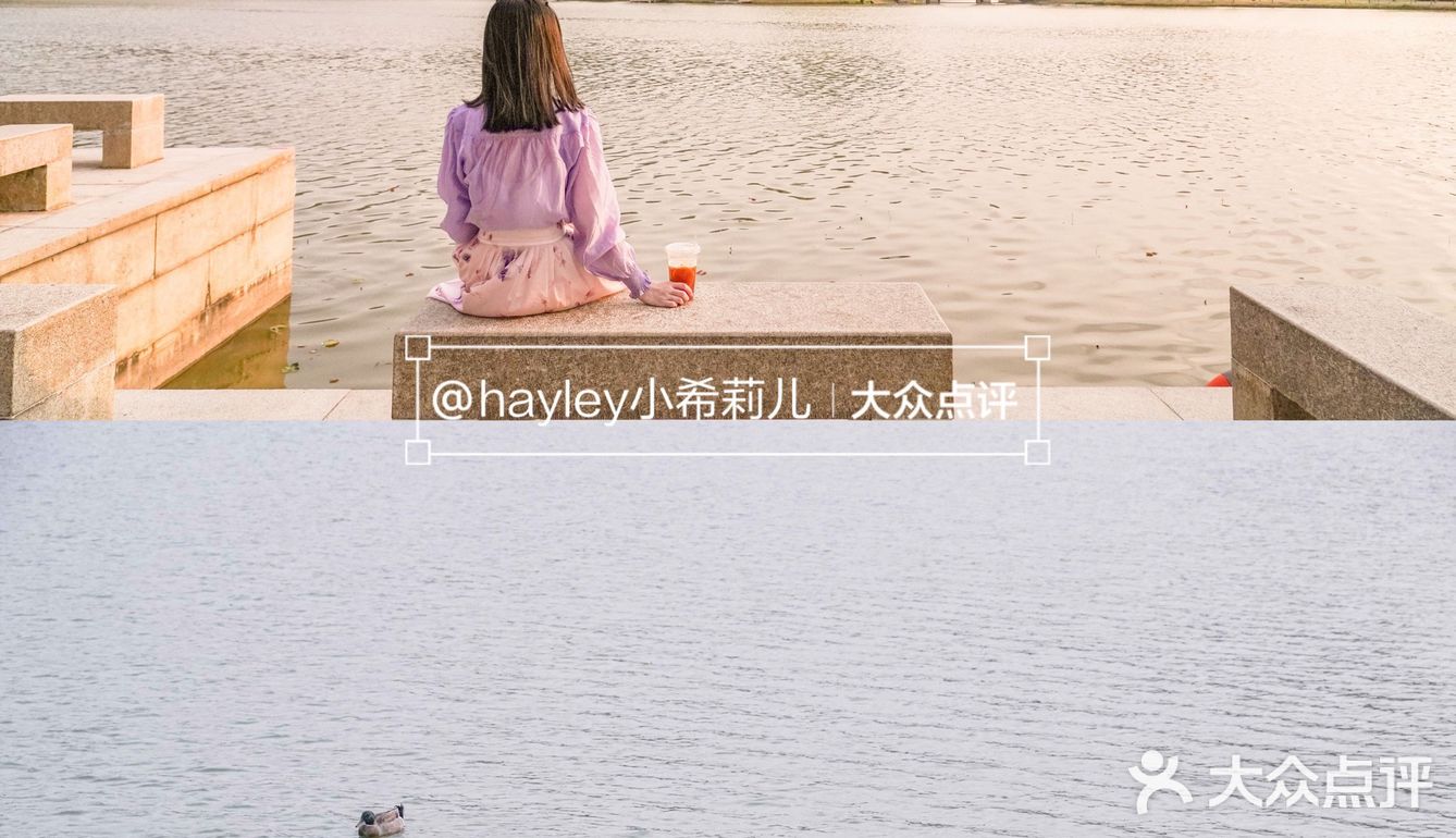 “啡”尝大良 │ 顺峰山公园里飘出浓浓咖啡香 