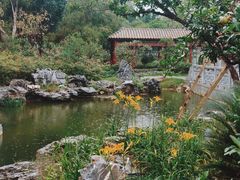 -顺峰山公园