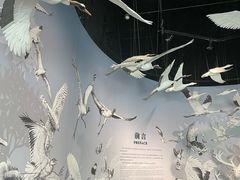 -中国湿地博物馆