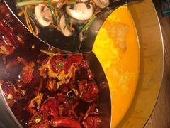 -青瓷火锅料理(西单大悦城店)