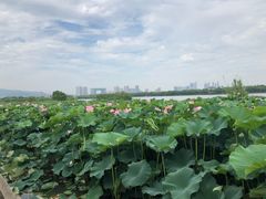 -上海市保健医疗中心(华东疗养院)