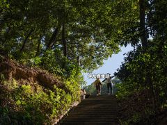 -广州市帽峰山景区