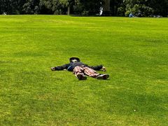 -墨尔本皇家植物园