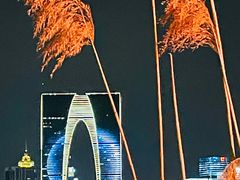 -金鸡湖景区