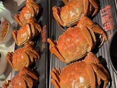 -红盔甲·小龙虾(天钥桥店)