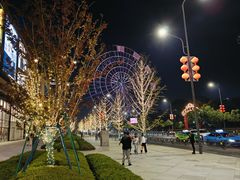 -南昌之星摩天轮