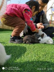 -萌宠亲子动物乐园(槐房万达店)