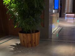 -浅深Cheersum(曹杨店)
