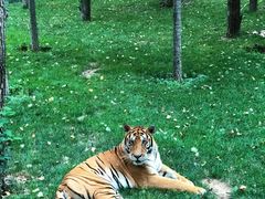 -北京野生动物园