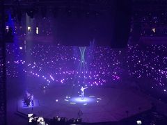 -南京奥林匹克体育中心-体育馆