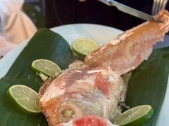 盐烤红鲷鱼-Ginger(兴国路店)