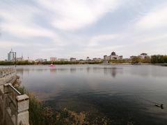 -莲花池公园