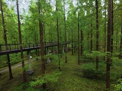 -黄海国家森林公园