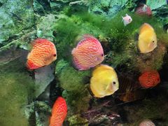 -多彩贵州城极地海洋世界