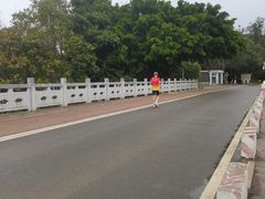 -凤岗南门山森林公园