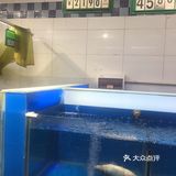 黑暗料理之清蒸鲈鱼