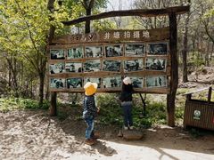 -井塘古村