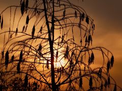 -东山风景区(洞庭东山)