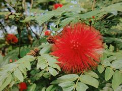-广州市白云山风景名胜区