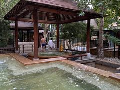 -春晖园度假酒店温泉