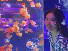 -左海海底世界