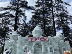-瓦屋山景区
