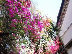 -深圳国际园林花卉博览园