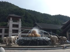 -斯瑞特国际酒店