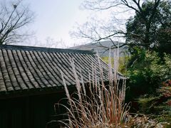 -宝界山林公园