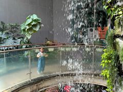 -正佳雨林生态植物园