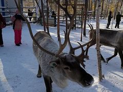 -北极村旅游风景区