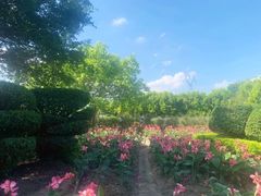 -广东花都香草世界旅游度假区