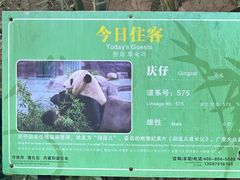 -安吉竹博园