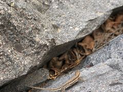 -百里山水画廊乌龙峡谷