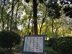 -范蠡湖公园