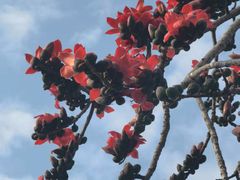 -点都德(广州白云山景区南门店)