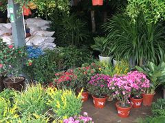 -秦美花卉(天朗·莱茵小城2期店)