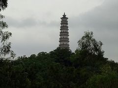 -榴花公园