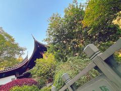 -十八棵（老龙井）御茶园(老龙井店)