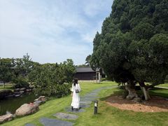 -江心屿景区