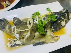 -0532啤酒屋